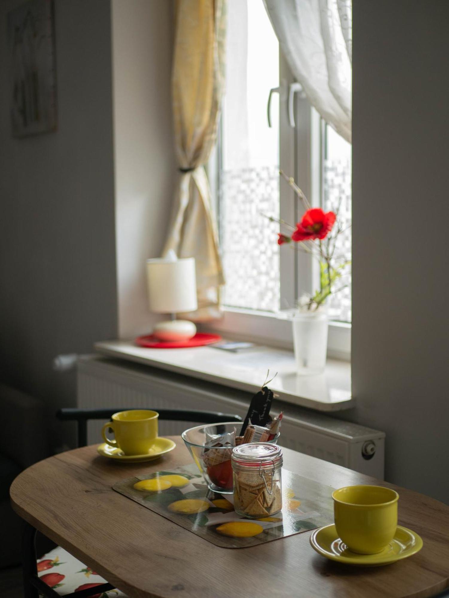 Apartament Przy Synagodze Przemyśl Buitenkant foto